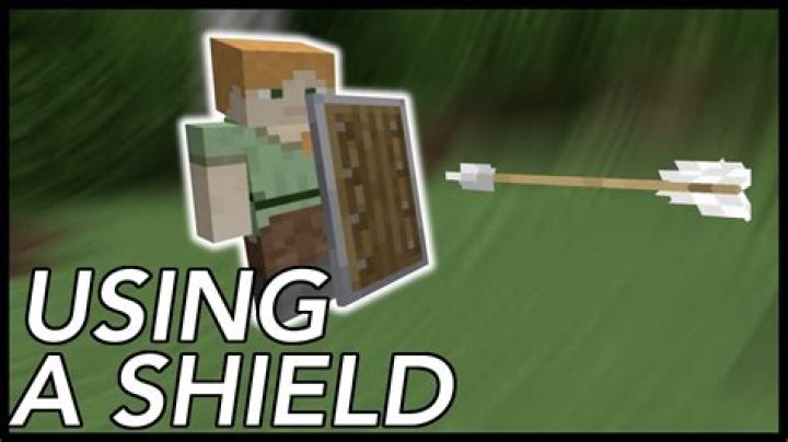 How to use shield in minecraft java