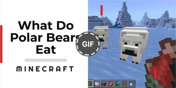 In minecraft what do polar bears eat