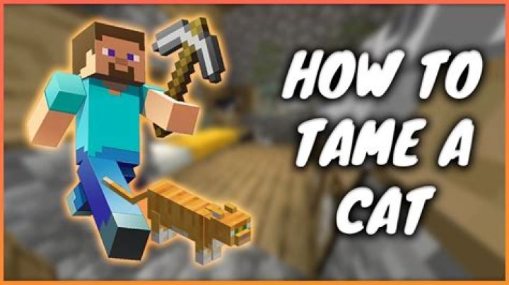 Minecraft 1.14 how to tame cats