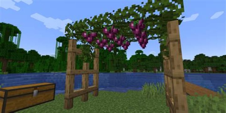 Minecraft growthcraft how to grow grapes