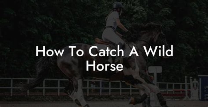Minecraft how to catch a horse