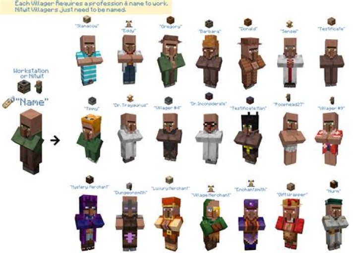 Minecraft how to spawn specific villagers