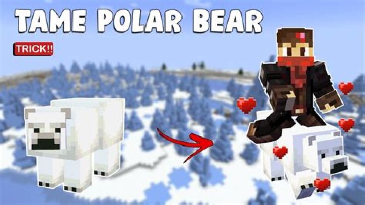Minecraft how to tame polar bear