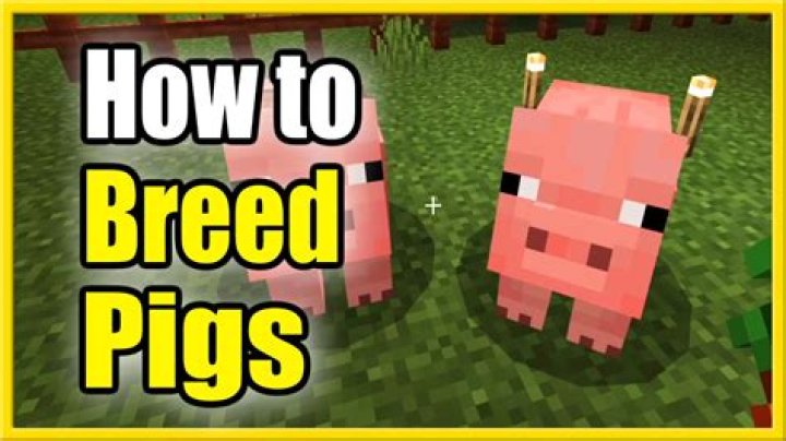 Minecraft what do you feed pigs
