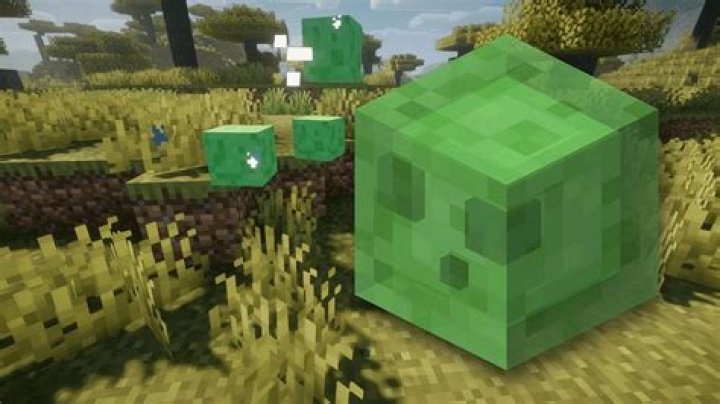 Minecraft what level do slimes spawn