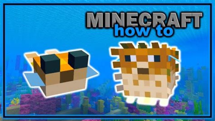 Minecraft what to do with pufferfish