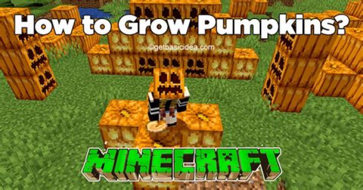 Minecraft why wont my pumpkins grow