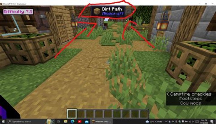 What am i looking at minecraft