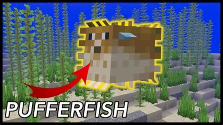 What are pufferfish used for in minecraft