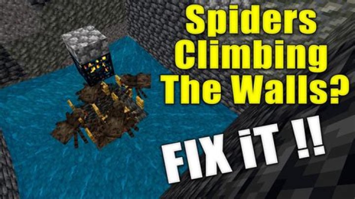 What are spiders afraid of in minecraft