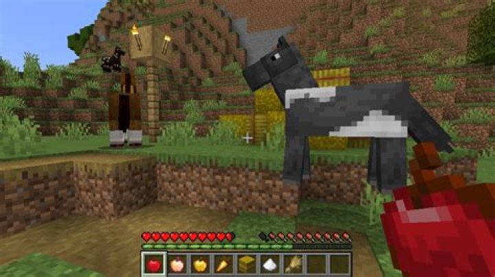 What can horses eat in minecraft