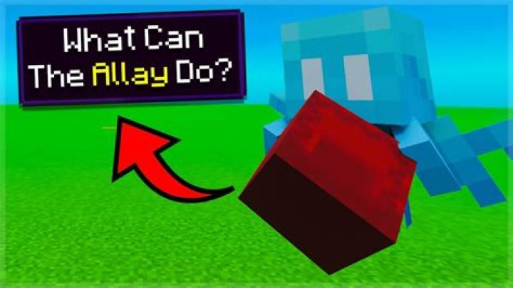What can the allay do in minecraft