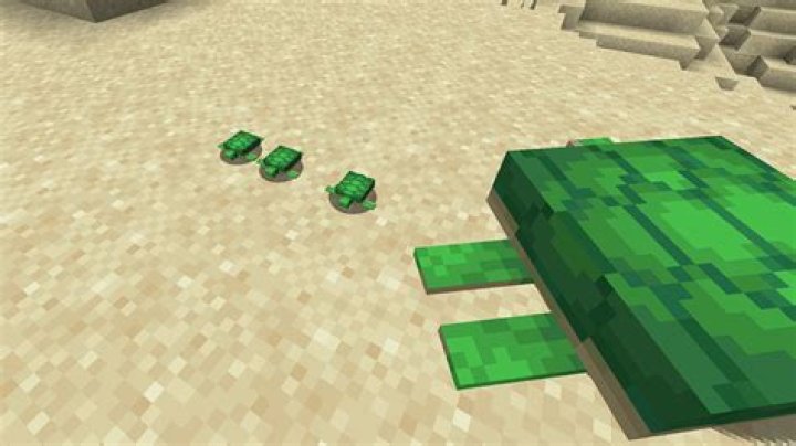 What do baby turtles eat in minecraft