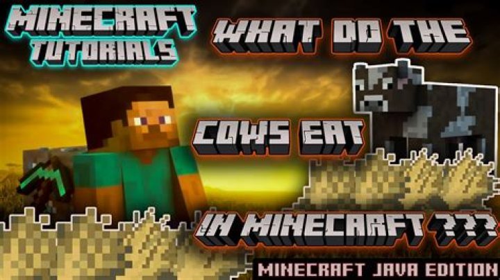What do cows eat in minecraft pe