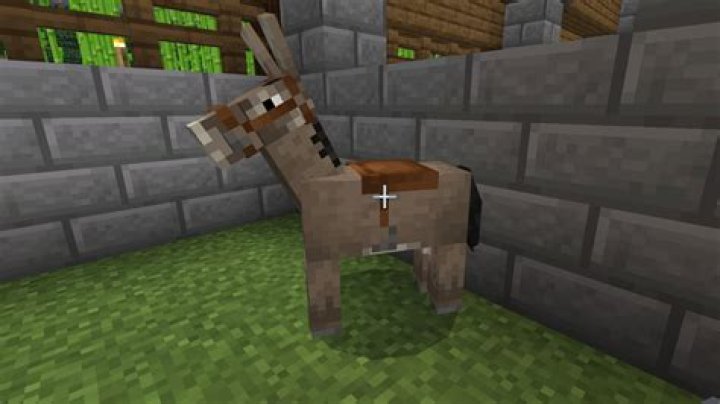 What do donkeys eat on minecraft