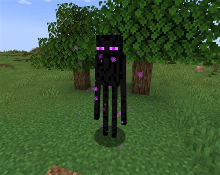 What do endermen do in minecraft