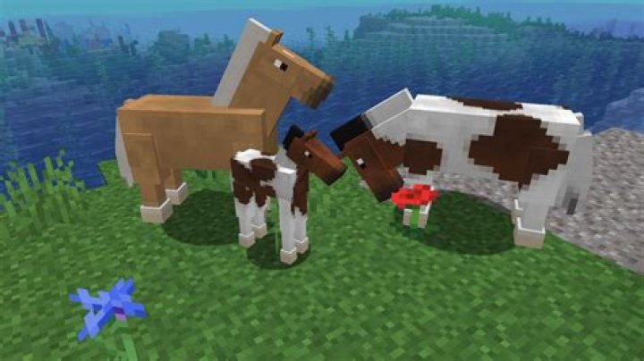 What do horses drop in minecraft
