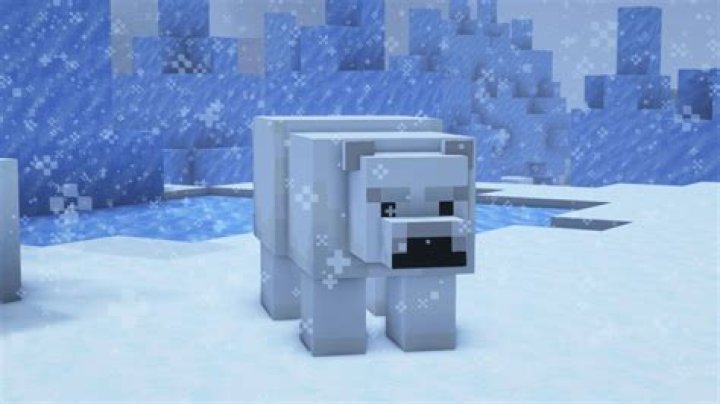 What do polar bears drop in minecraft