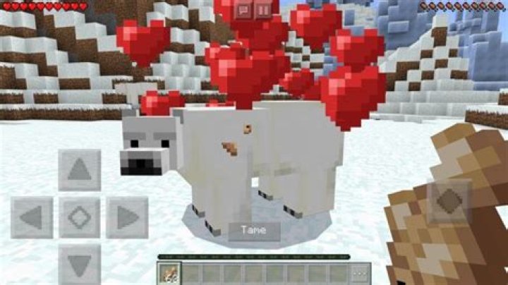 What do polar bears eat in minecraft