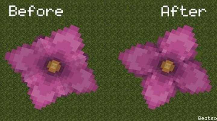 What do spore blossoms do in minecraft