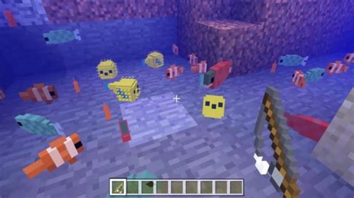 What do tropical fish eat in minecraft