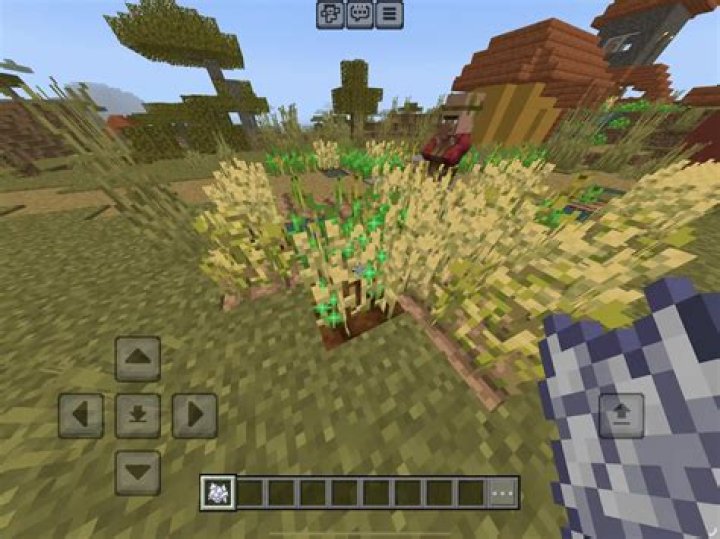 What do you feed cows in minecraft