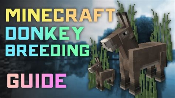 What do you feed donkeys in minecraft