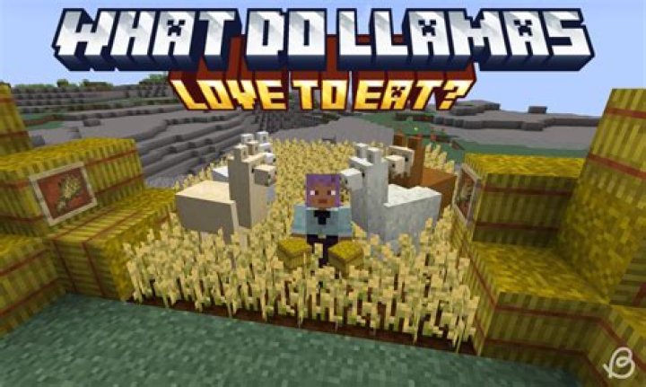 What do you feed llamas in minecraft
