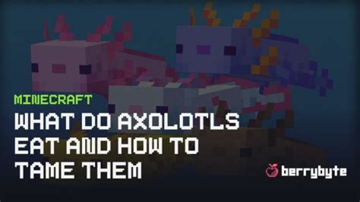What does a axolotl eat in minecraft
