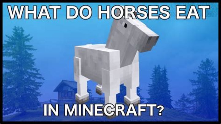 What does a horse eat in minecraft