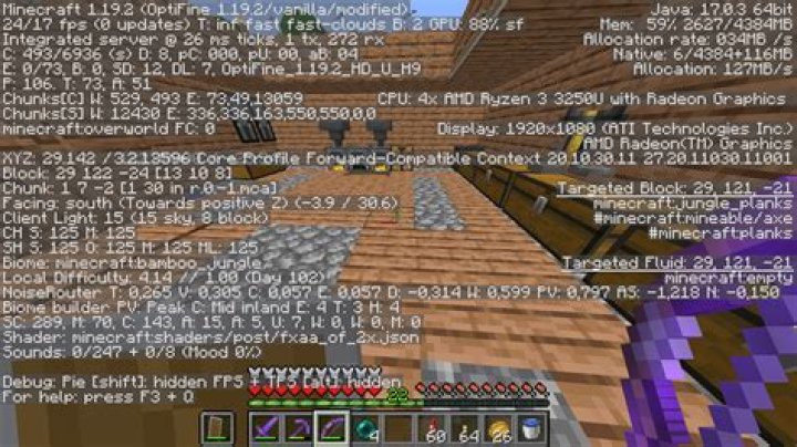 What does f3 do in minecraft