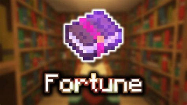What does fortune 1 do in minecraft