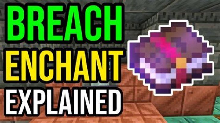 What does moderator mean in minecraft