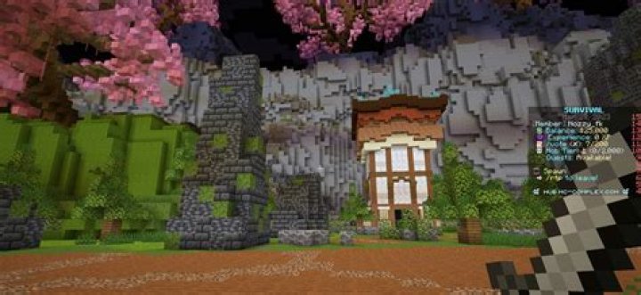 What does smp stand for in minecraft