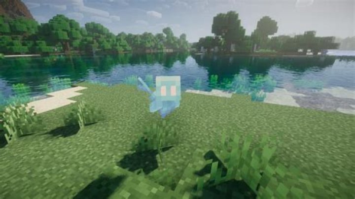 What does the allay do in minecraft