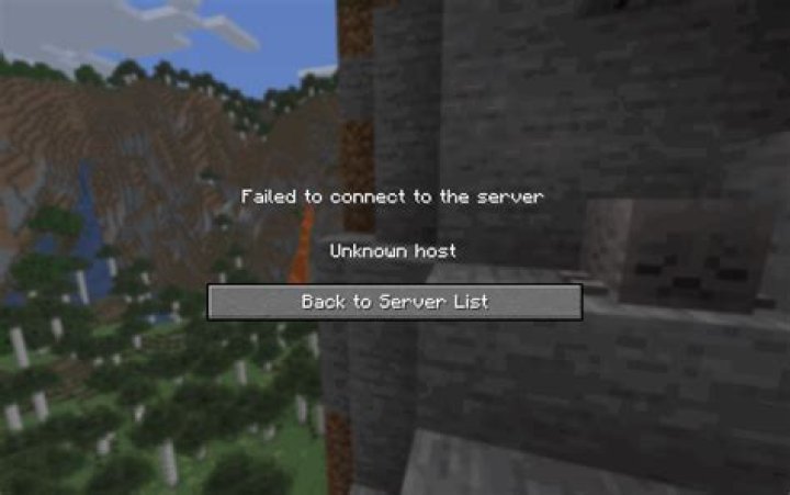 What does unknown host mean in minecraft