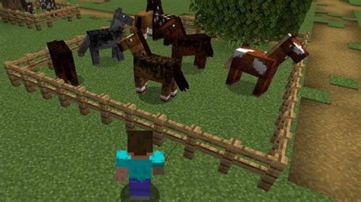 What food do horses eat in minecraft