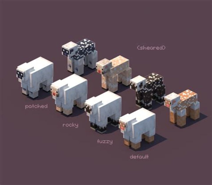 What food do sheep like in minecraft