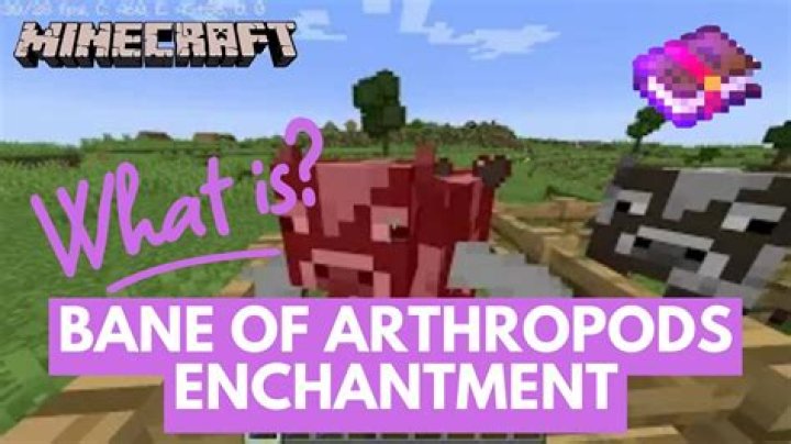 What is bane of arthropods in minecraft