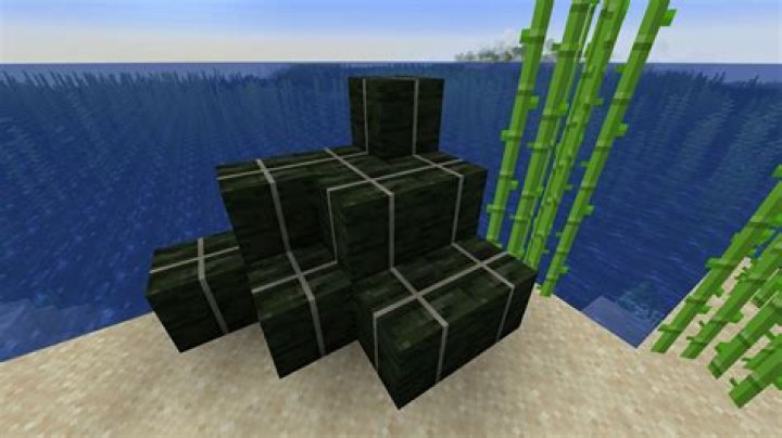 What is kelp used for in minecraft