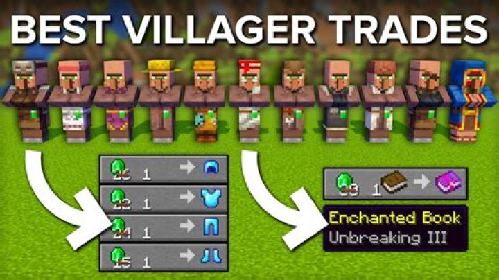 What is the best villager in minecraft