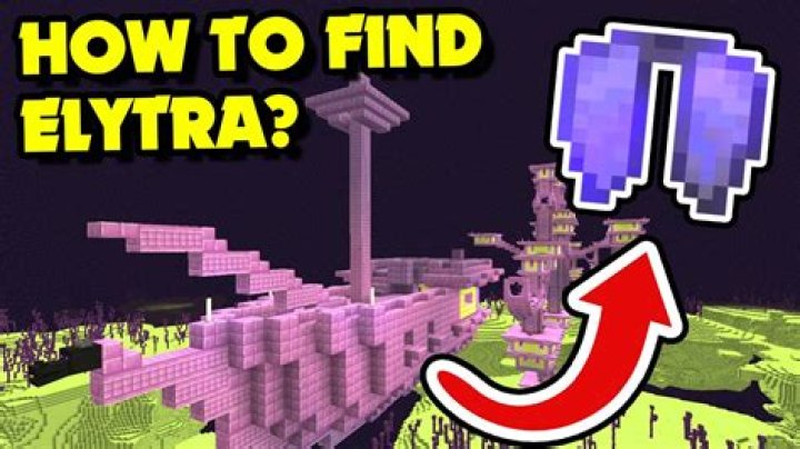 What is the elytra in minecraft