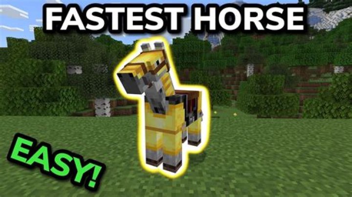 What is the fastest horse in minecraft