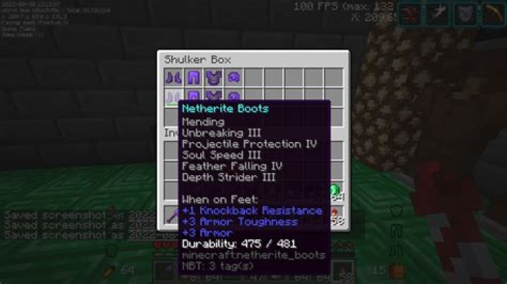 What is the max protection in minecraft