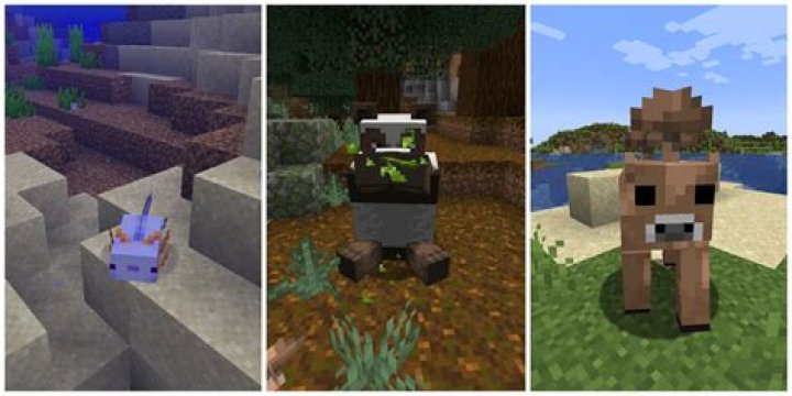 What is the rarest animal in minecraft