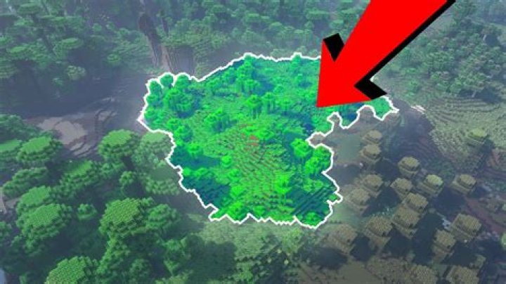 What is the rarest biome in minecraft