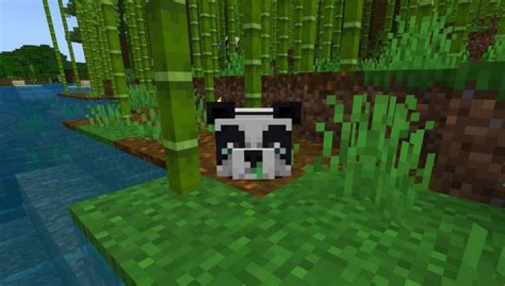 What is the rarest panda in minecraft