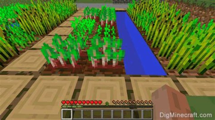 What to do with beetroot in minecraft