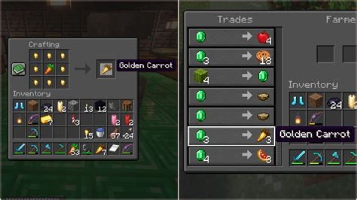 What to do with carrots in minecraft