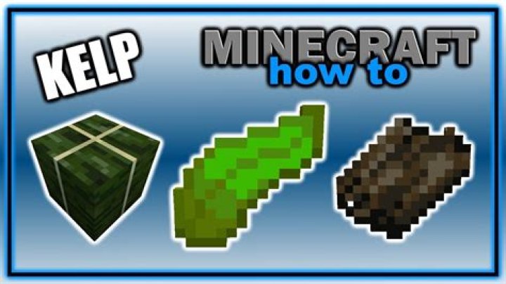 What to do with kelp in minecraft